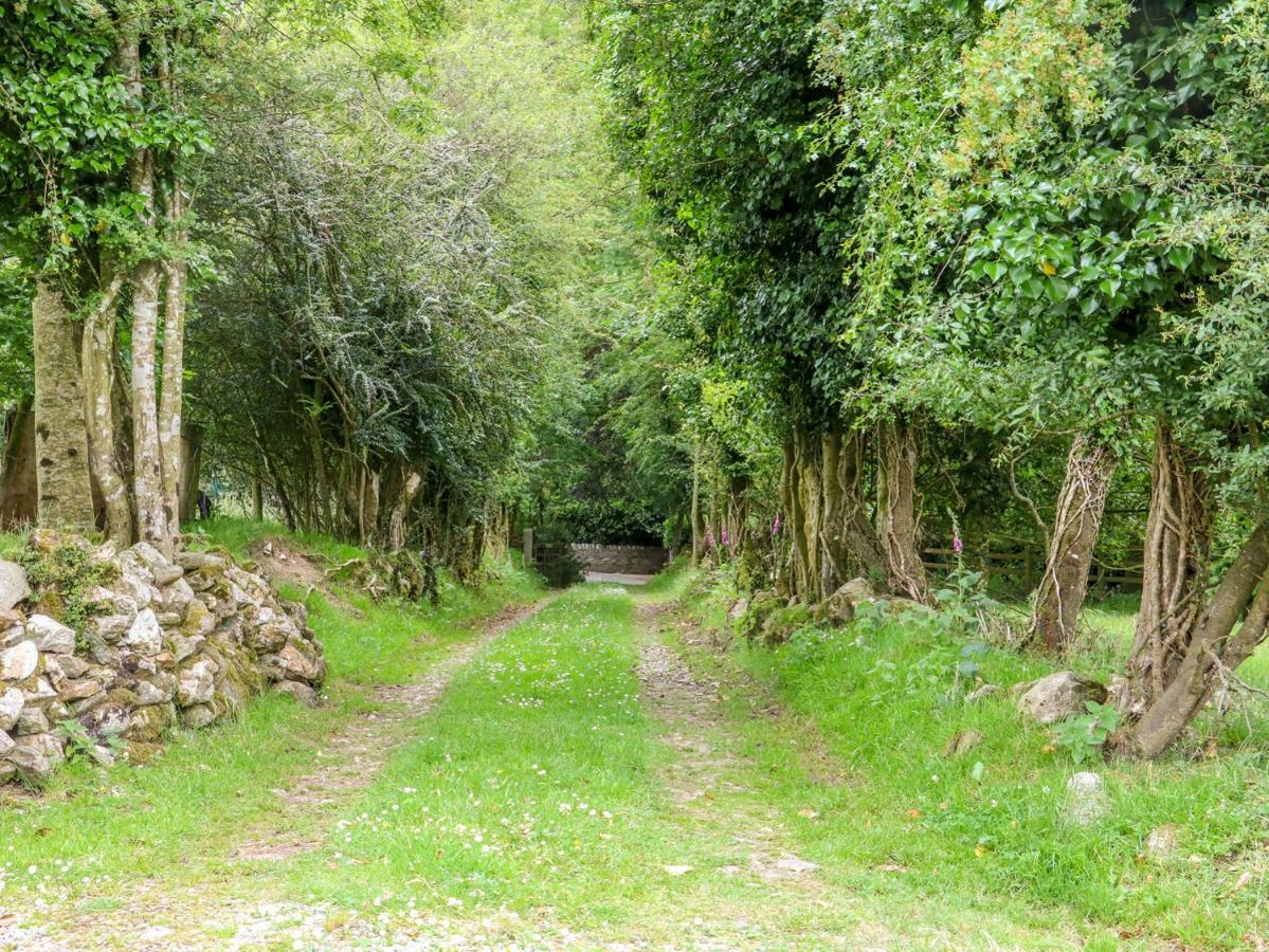 The Old White Cottage Shillelagh Ngoại thất bức ảnh